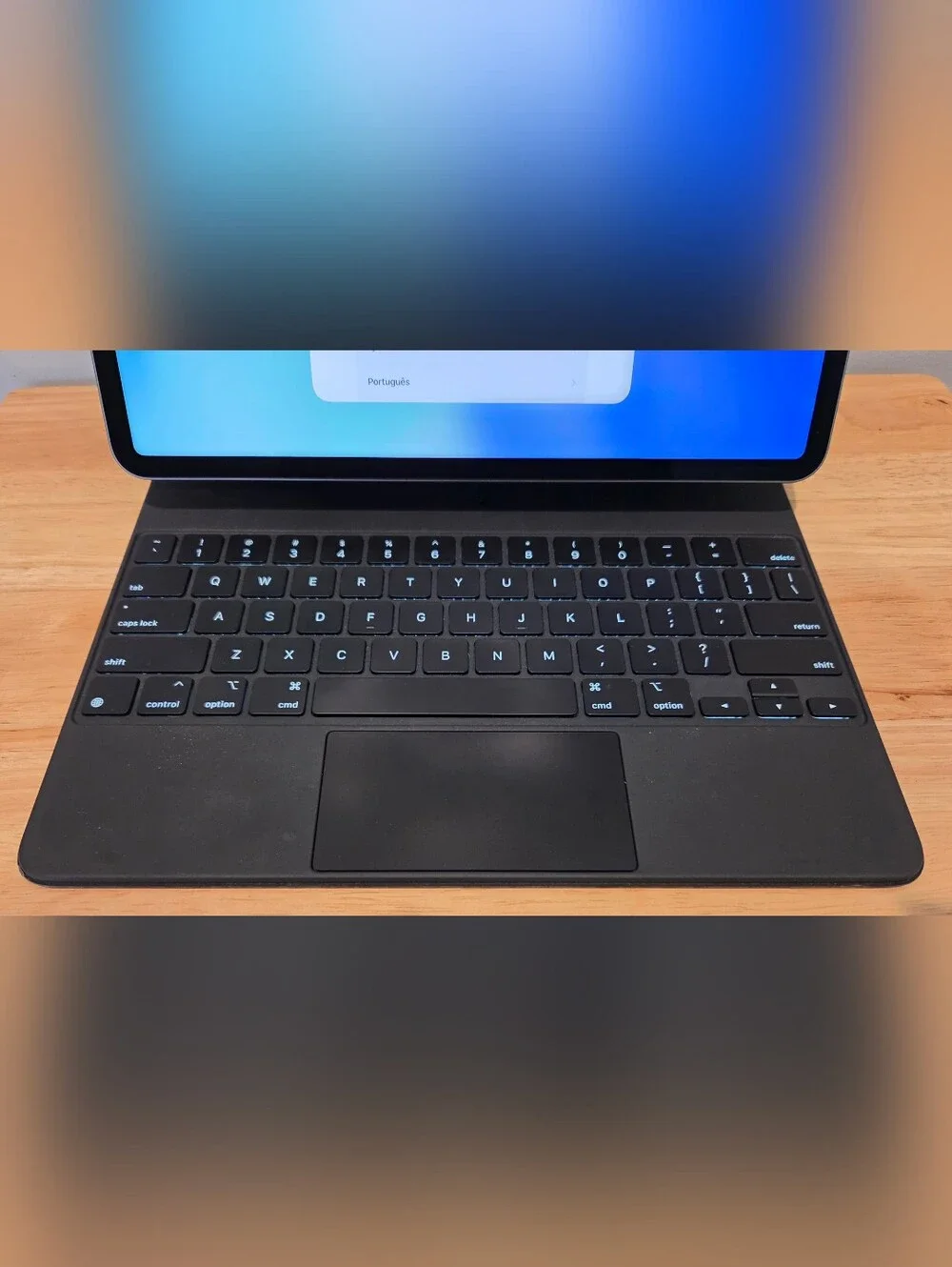 Apple iPad Pro (5th Generation) 256 GB, 12.9